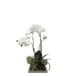 Composition d'orchide et sucullentes artificielle blanche h43