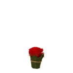 Composition de roses entour�e de feuilles artificielles rouge fonc� h9