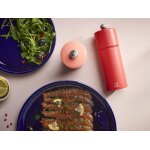 Cosy duo moulin poivre brique & moulin sel flamme mat 12 cm