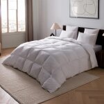 Couette atlas naturelle temp�r�e coton 200x200 cm