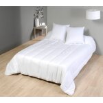 Couette mi - saison anti - acariens enveloppe coton blanc 350g 260x240 cm