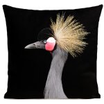 Coussin campagne oiseau sudine noir 40x40cm
