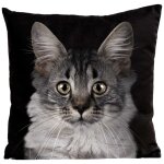 Coussin chat suédine noir 40x40cm Coussin chat suédine noir 40x40cm