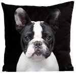 Coussin chien bouledogue su�dine noir 40x40cm