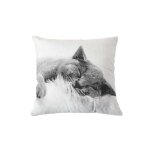 Coussin imprim chat noir et blanc 30 x 50 cm