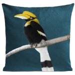 Coussin tropical oiseau calao sudine vert 40x40cm