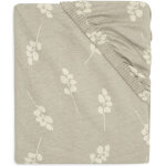 Drap housse