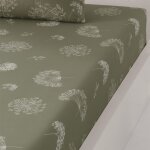 Drap housse en percale de coton bonnet 30 cm sauge 80x200 cm