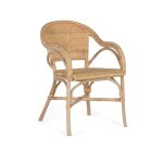 Ensemble de 2 fauteuils avec accoudoirs en bambou naturel et rotin