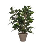 Ficus natasja plante artificielle en pot h40 Ficus natasja plante artificielle en pot h40