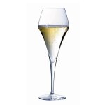 Fltes en verre 21cl - lot de 6