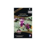 Graines de fleurs premium datura candida blackcurrant swirl Graines de fleurs premium datura candida blackcurrant swirl