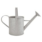 Grand arrosoir zinc patin 6. 5 l