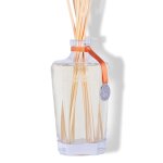 Grand diffuseur de parfum ambre prcieux