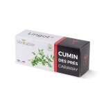 Lingot cumin des prs bio - recharge prte  l'emploi