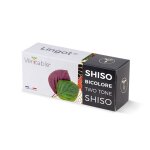 Lingot shiso bicolore - recharge prte  l'emploi