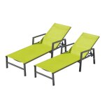 Lot de 2 transats en aluminium gris fonc et vert