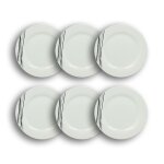 Lot de 6 assiettes plates porcelaine blanche  rayures noires 27cm
