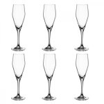 Lot de 6 Coupes à Champagne Midnight Garden 25cl Transparent