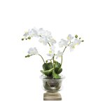 Orchide en coupe artificielle blanche h58