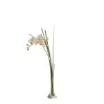 Orchid�e en illusion d'eau artificielle cr�me h60