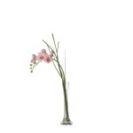 Orchid�e en illusion d'eau artificielle fuchsia h60