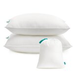 Oreillers lot de 2 60 x 60 cm garnissage 800 g blanc Oreillers lot de 2 60 x 60 cm garnissage 800 g blanc