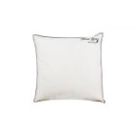 Oreiller moelleux en plumes de canard naturel 60x60 cm