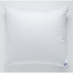 Oreiller naturel moelleux 65x65 cm Oreiller naturel moelleux 65x65 cm