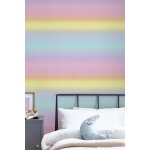 Papier peint arc - en - ciel pastel 1005x52cm