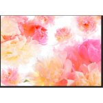 Papier peint pivoines pastel 400 x 280 cm