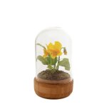Pense sous cloche artificielle jaune h18