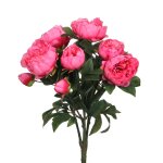 Pivoines artificielle rose fonc