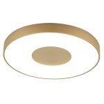 Plafonnier design en plastique or Plafonnier design en plastique or
