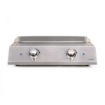 Plancha lectrique inox 2 thermostats argent
