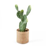 Plante artificielle cactus, hauteur 60 cm vert Plante artificielle cactus, hauteur 60 cm vert