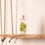 Plante immerg�e foug�re luthi verte