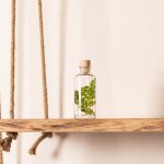 Plante immerg�e foug�re luthi verte h12