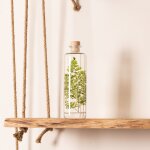 Plante immerg�e foug�re luthi verte h23