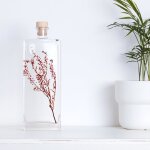 Plante immerg�e lepidium rouge h26