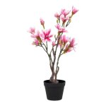 Plante rose artificielle int�rieur