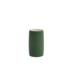 Porte brosse  dents en grs vert