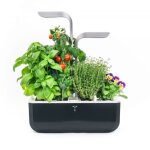 Potager d'intérieur véritable® smart soft black Potager d'intérieur véritable® smart soft black