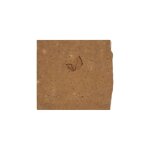 Savon exfoliant bio au café peau douce et revitalisée Savon exfoliant bio au café peau douce et revitalisée
