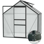 Serre de jardin en polycarbonate 6 mm et aluminium noir avec embase ve