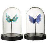 Set de 2 papillons sous cloche en verre transparent 11. 5x11. 5x16 cm