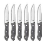 Set 6 couteaux steak