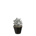 Succulente artificielle crassula paillet�e en pot argent� h15
