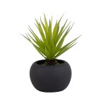 Succulente artificielle verte et pot en grs noir