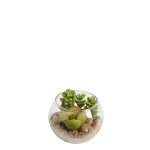 Succulente sedum en terrarium rond artificielle verte h8